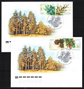 Россия, 2013, Флора России. Шишки хвойных деревьев и кустарников, 2 КПД